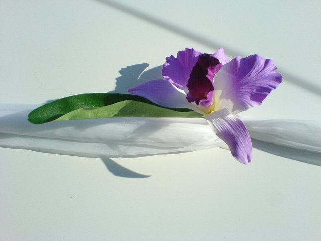 img00001.jpg
