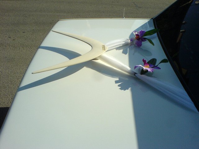 img00006.jpg